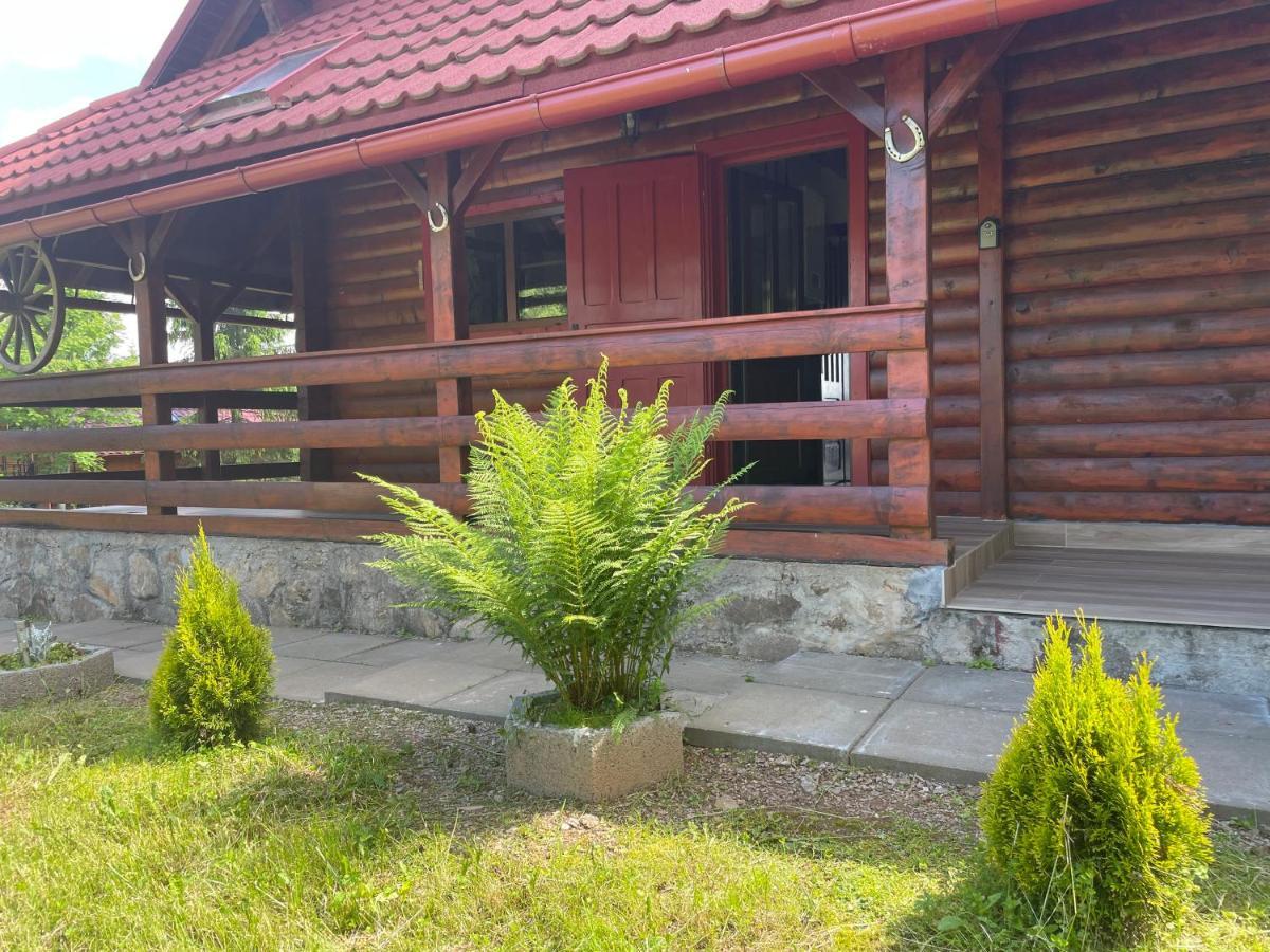 Cabana Transilvania Beliş المظهر الخارجي الصورة